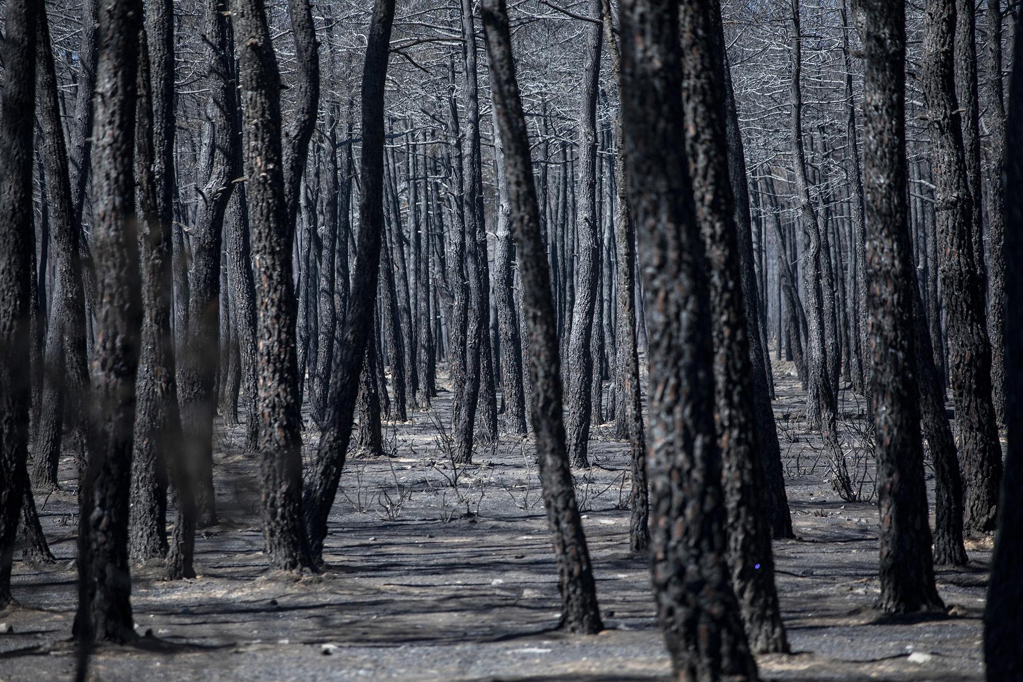 Geografía calcinada enfoques - 1